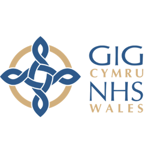 South Wales 2nd Logo